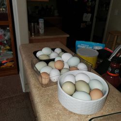 12 Organic Chicken Eggs For $7