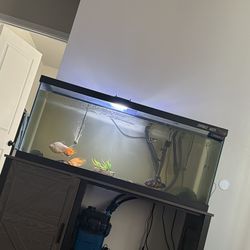 Fish tank for sale