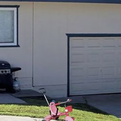 Radio Flyer Bike (Pink)