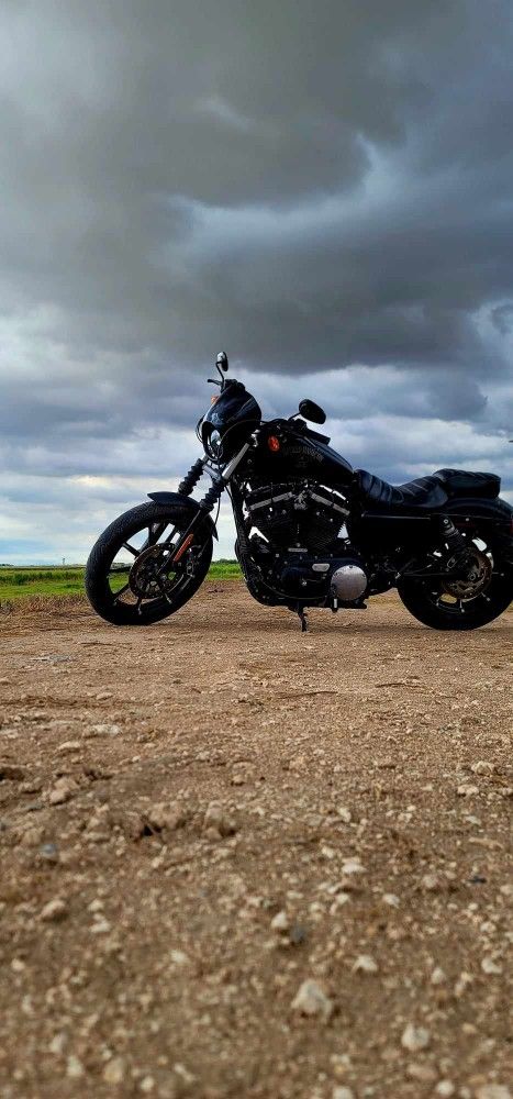 2016 Harley Iron 883