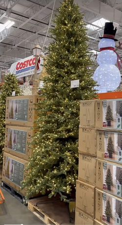 LAST 9ft costco christmas tree new in box will test 