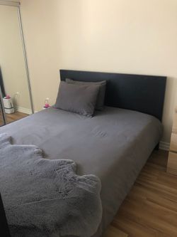 IKEA MALM Bed Frame – Black (Discontinued Color) – Excellent Condition