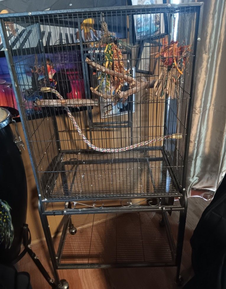 Big Bird Cage