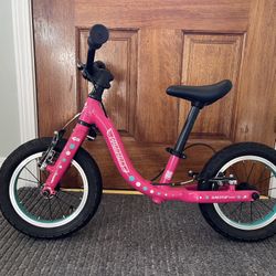Guardian balance Bike - Strider Bike With Handle Bar Brakes 