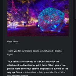 Enchanted Forest Of Light At Descanso Gardens Adult Ticket