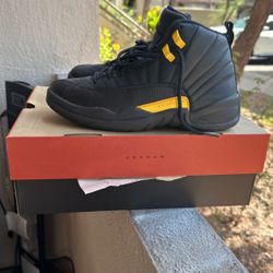Air Jordan 12 Black Taxi