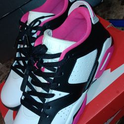 Jordan Retro 6s & Nike Dunk Air 1s