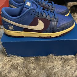 Size 11 - Nike Undefeated x Dunk SP Low 5 On It
