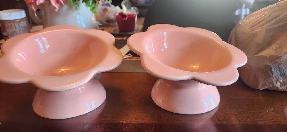 Cat Food Dishes