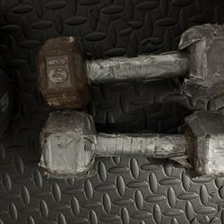 10lbs Dumbbells 