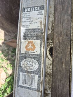 20 ft ladder
