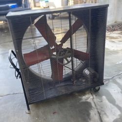 Shop Fan
