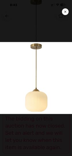 Pendant Light Fixture