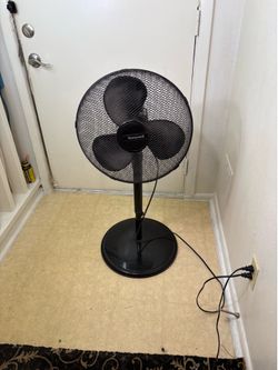 Fan
