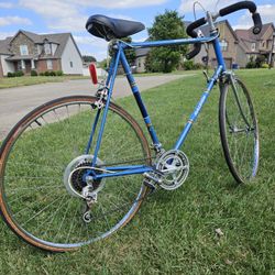 Raleigh 10 Speed Bike