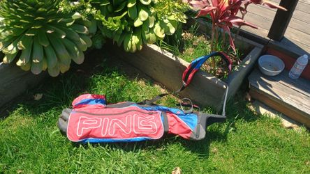 Ping Sunday Golf Bag