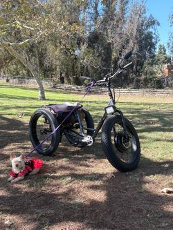 E Tricycle
