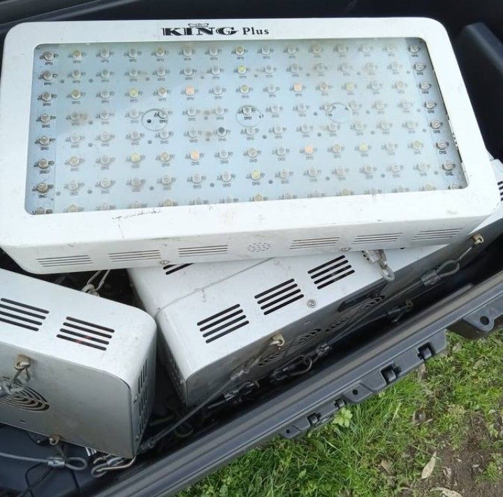 LED Grow And Veg Lights
