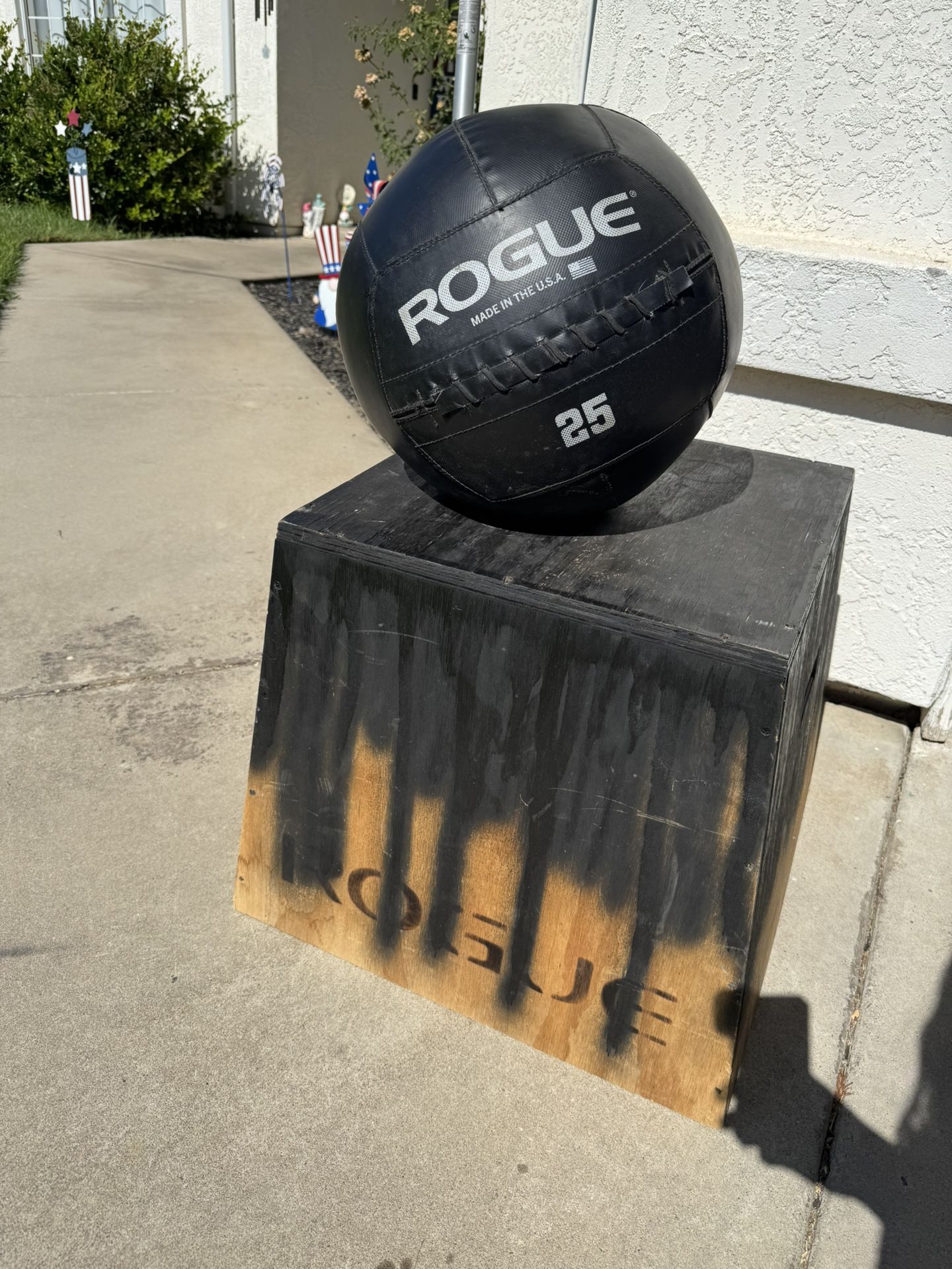 Rogue Fitness Plyo Box And 25LB Medicine Ball