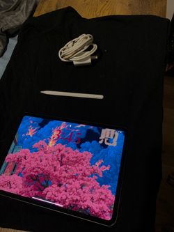 2025 iPad Pro 11 inch with usb pen and charger