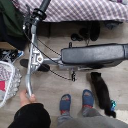 Razor Mz350