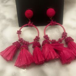 New Beautiful Earrings