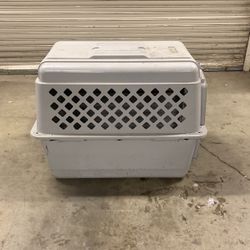 Dog Kennel