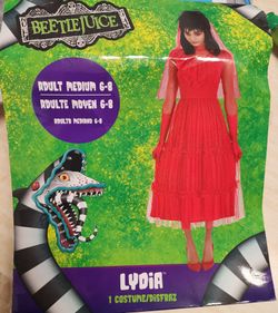 Bettle juice lydia costume