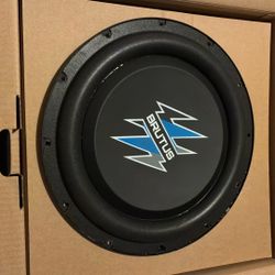 12 Inch Hyphonics Speaker 