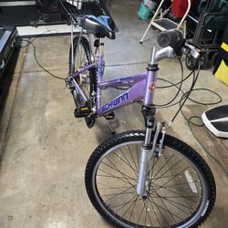 Schwinn Traverse 24", 21 Speed Mountain Bike