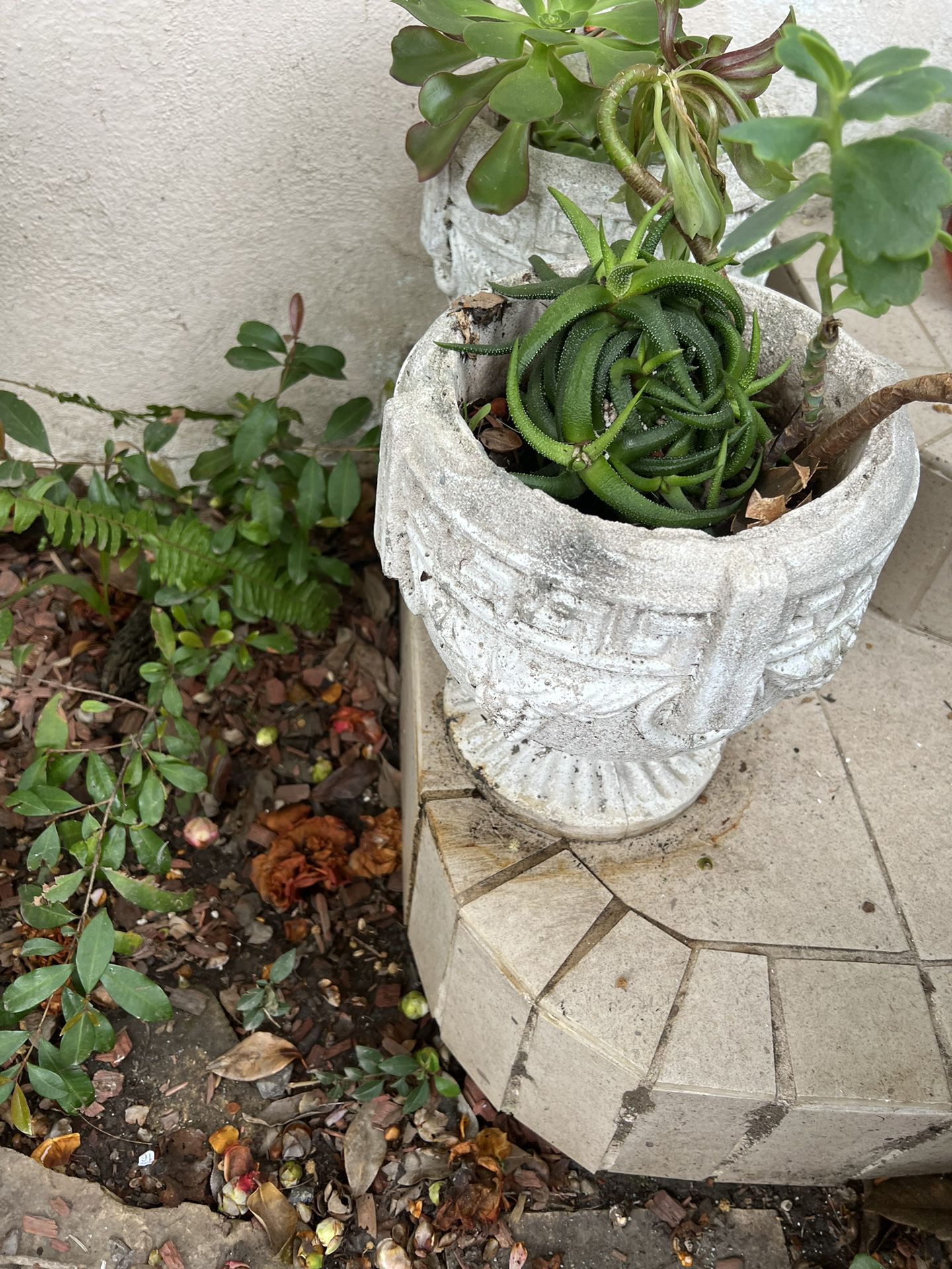 Cement Beautiful Garden Pots With Plants Two Pots 