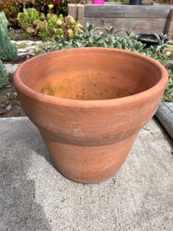Terracotta plant pot