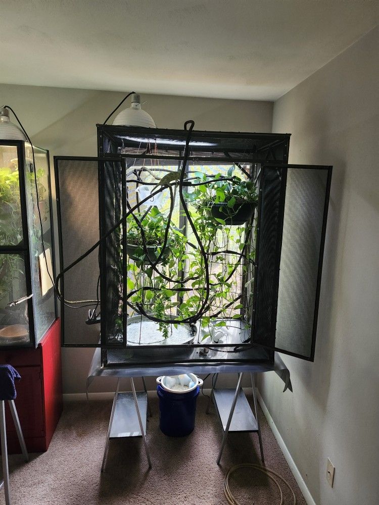Chameleon Cage