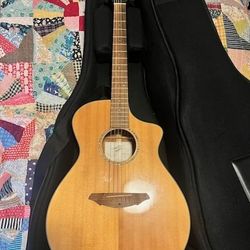Breedlove Acoustic Guitar and Amp