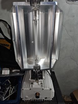 Hps 1000 watt grow light