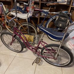 The Purple Shwinn Bike (Girls)