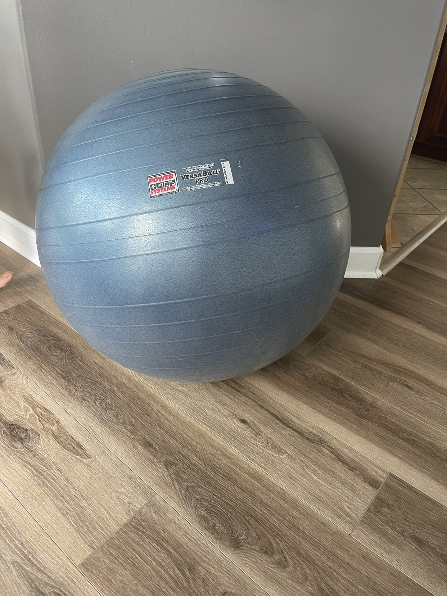 Power Systems Stability Ball Versa Ball Pro