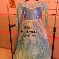 Frozen Princess Elsa Costume/Halloween Costume