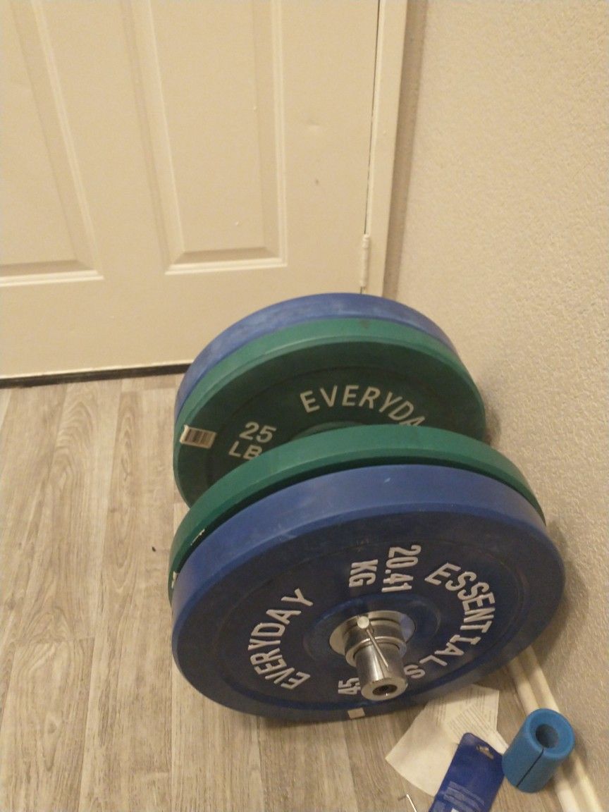 Bumper Plates, 2x 25 & 2x 45