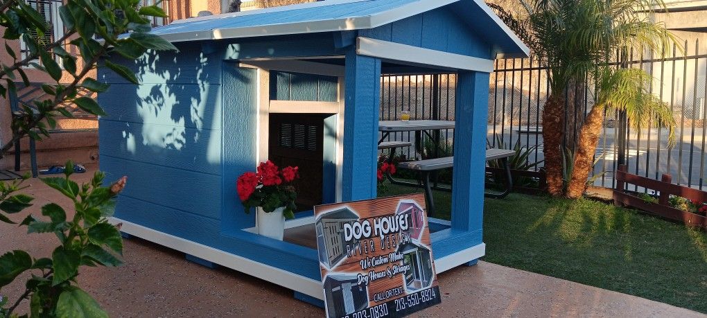 DOG HOUSE