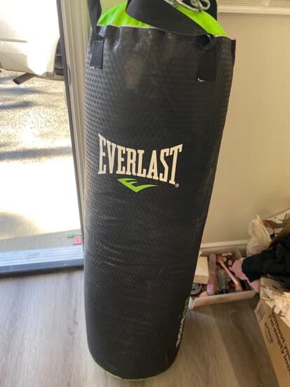 Everlast Punching Bag
