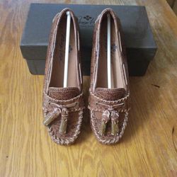 Zapato De Mujer