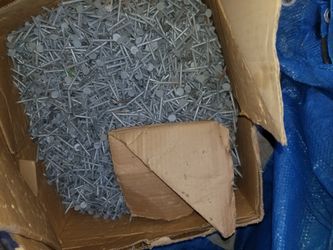 Roofing Nails