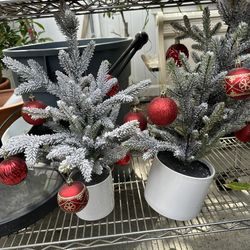 Ceramic Planted White Tree With Frost Artificial