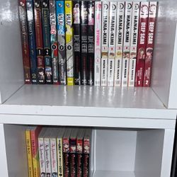 Manga lot