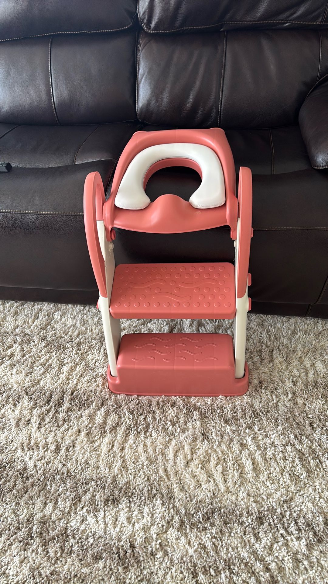 Potty Chair