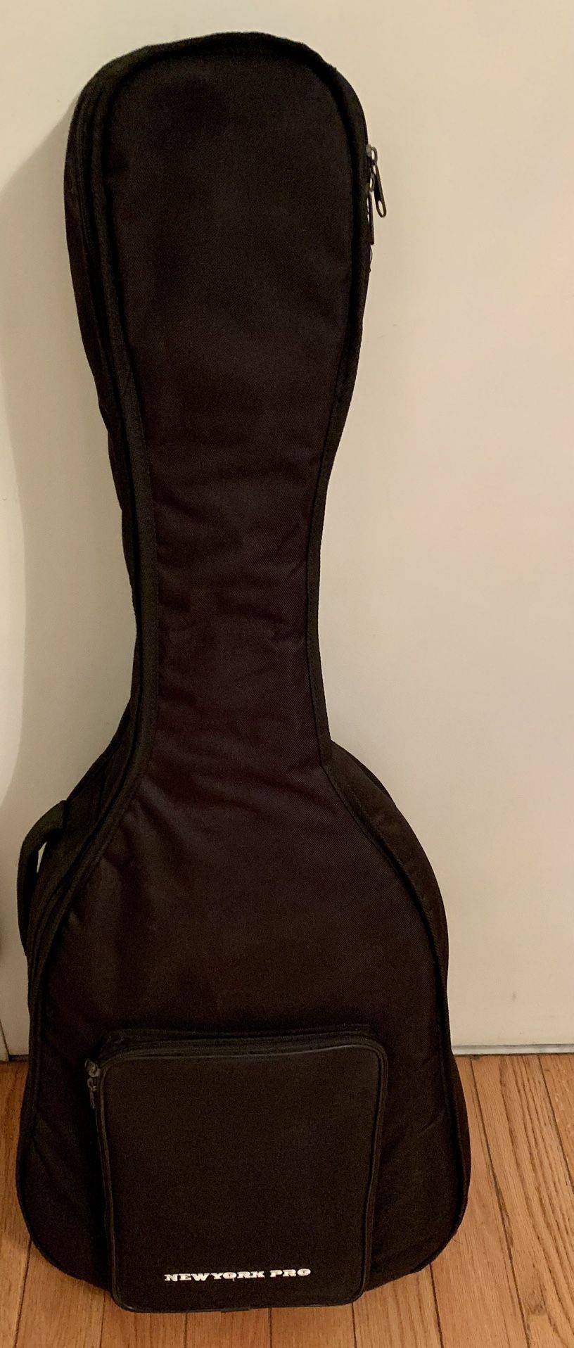 Fender DG-11E Acoustic Electric Guitar Black (6 String) With Professional Case