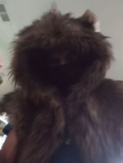 Grizzly Bear Hoodie