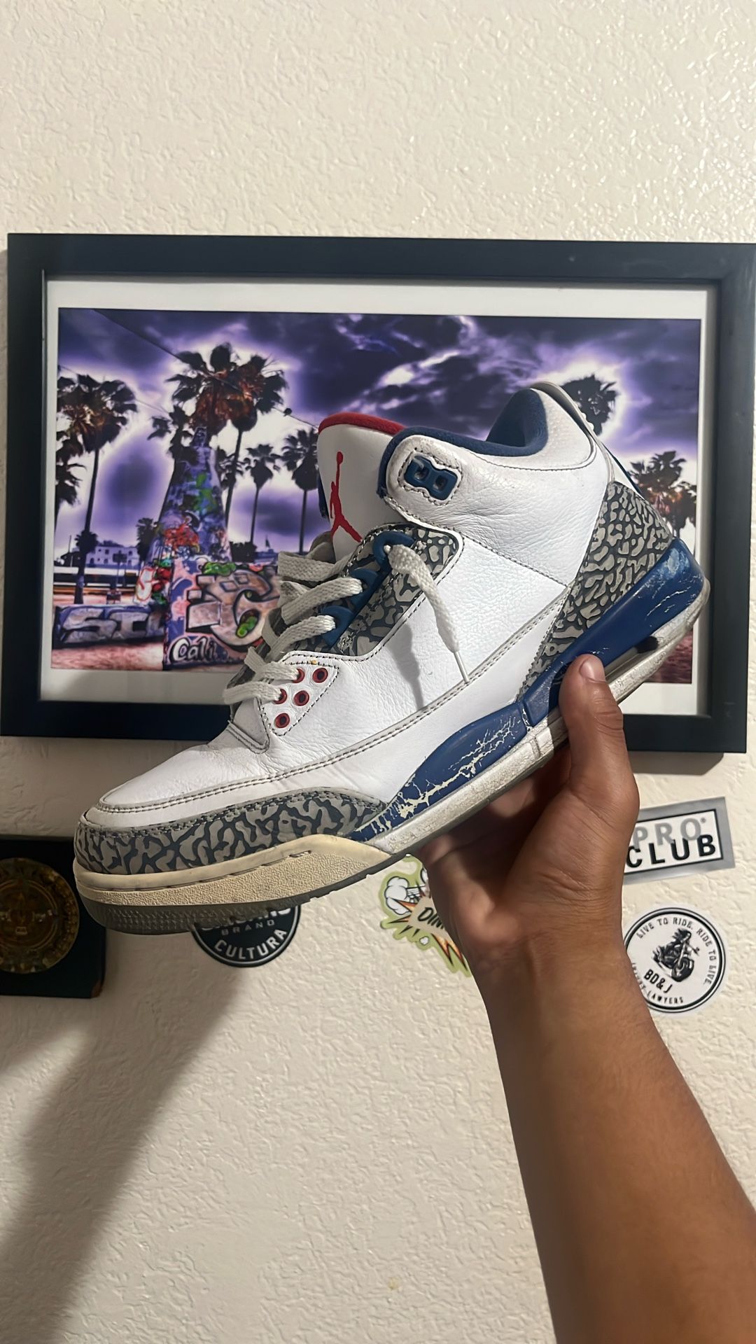 Jordan 3 True Blue (2016)