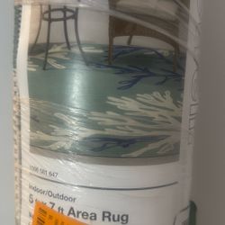 Style Well Outdoor Or Indoor 5 X 7 Area Rug For Sale